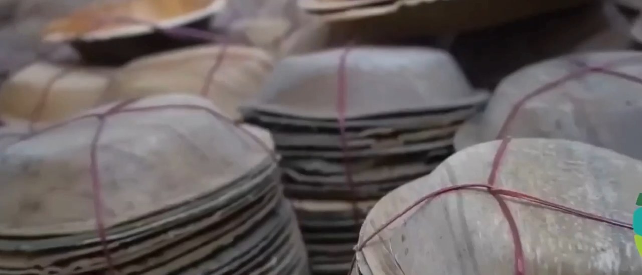 Bundled areca leaf plates ready for packing