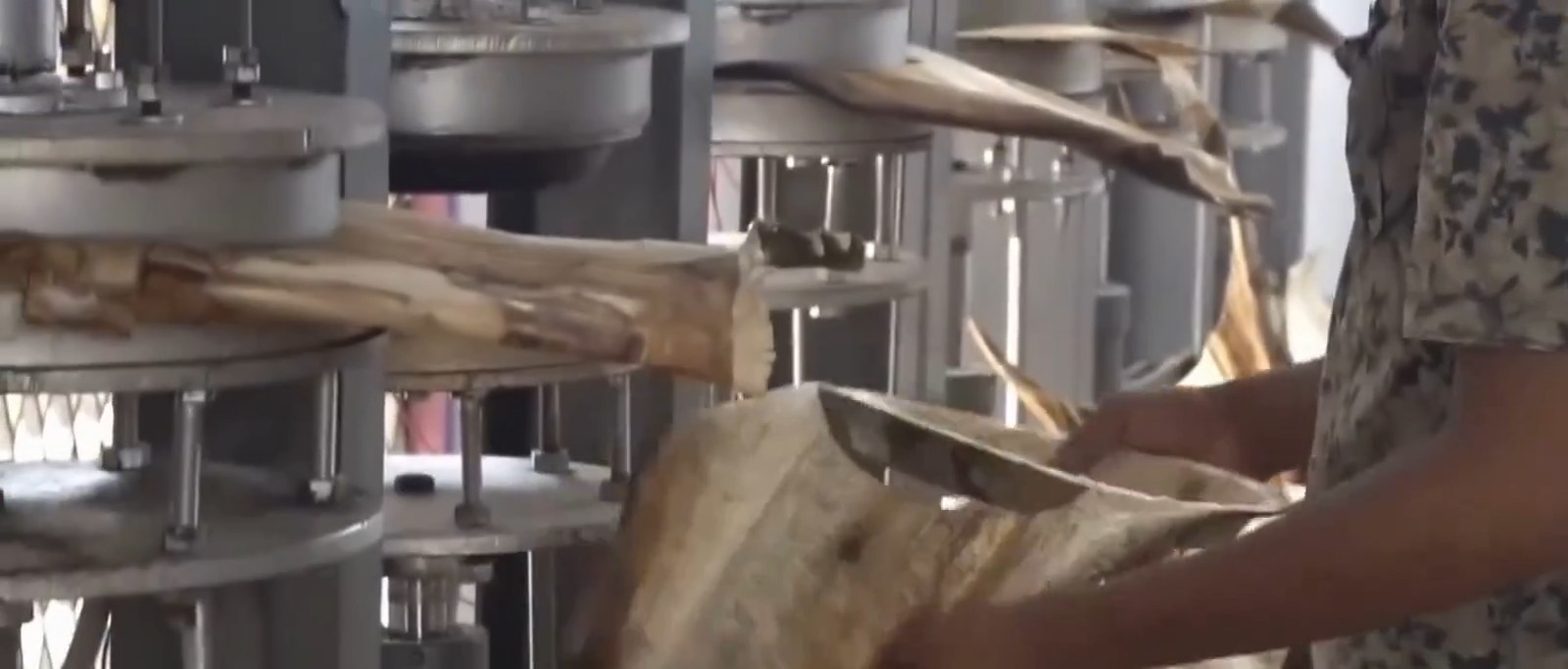 Hands loading an areca sheath into a press