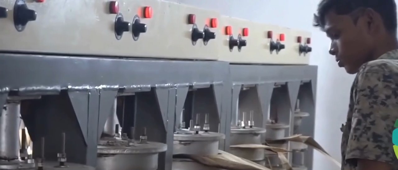 Heated presses forming areca leaf plates