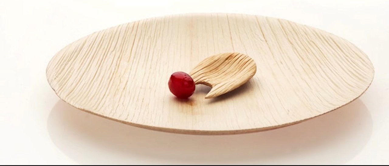 Areca leaf plate with a leaf spoon