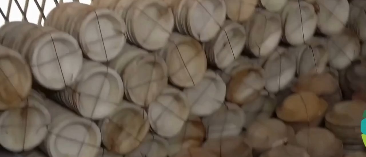 Stacks of finished areca leaf plates