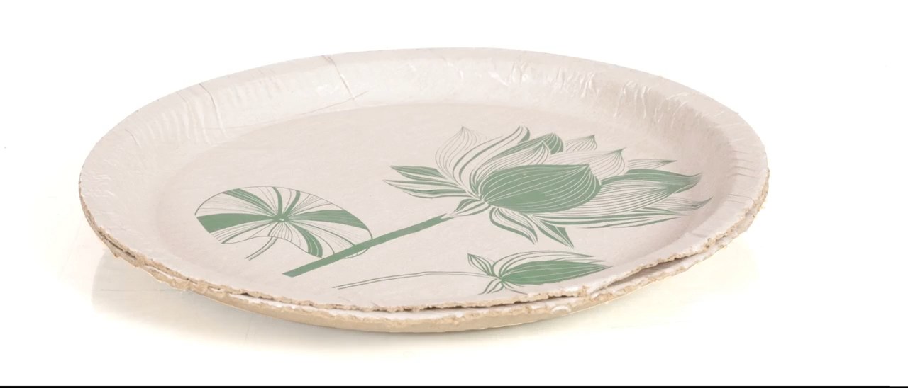 Printed paper plate made by Bollant