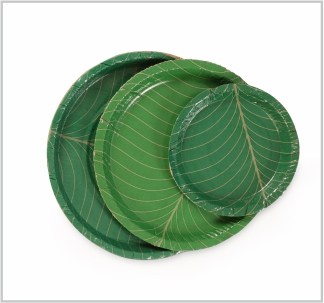 Printed paper plates with a leaf design