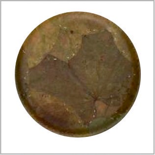 Natural leaf plate